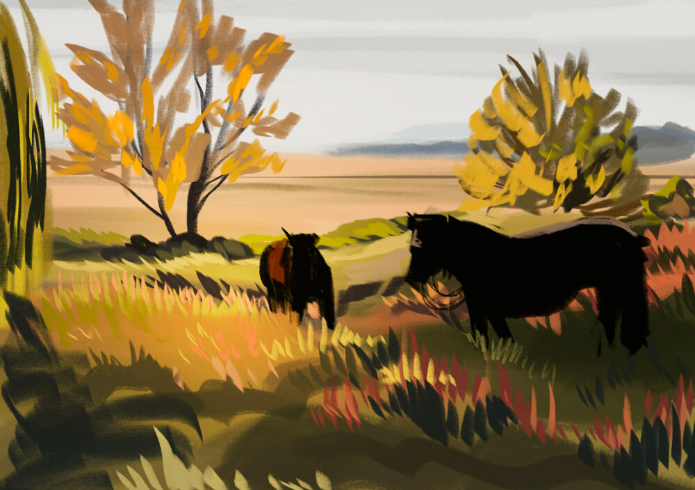 enviro_012