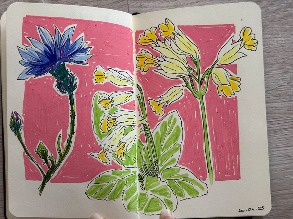 sketchbook_042